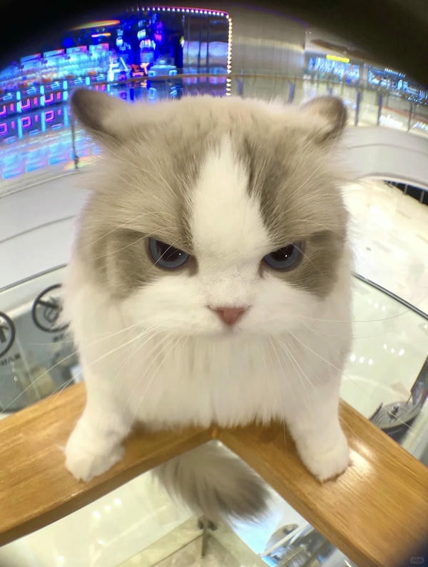 HƯỚNG DẪN SỬ DỤNG VPS